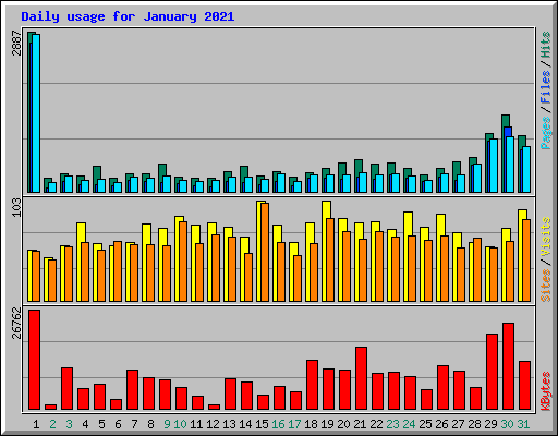 Daily usage for January 2021