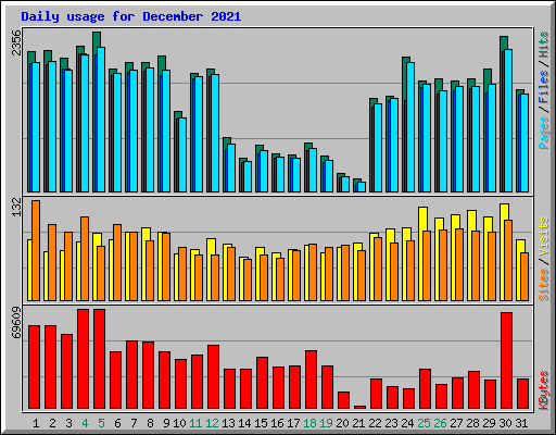 Daily usage for December 2021