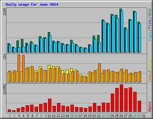 Daily usage for June 2024