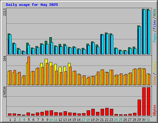 Daily usage for May 2025