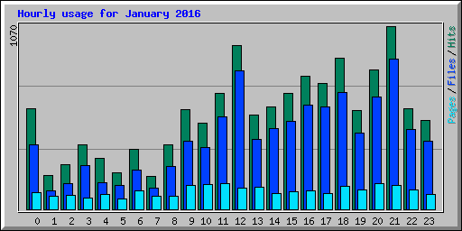 Hourly usage for January 2016