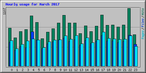 Hourly usage for March 2017