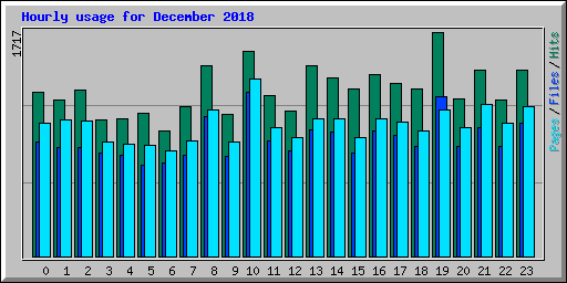 Hourly usage for December 2018