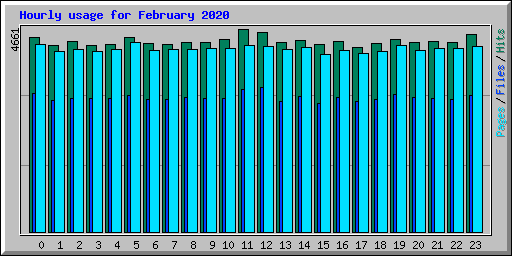 Hourly usage for February 2020