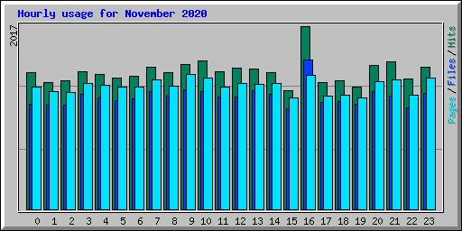 Hourly usage for November 2020