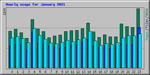 Hourly usage for January 2021