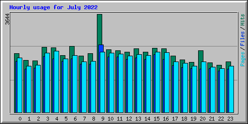 Hourly usage for July 2022