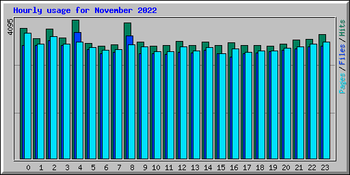 Hourly usage for November 2022