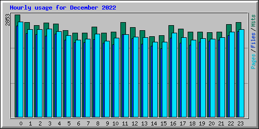 Hourly usage for December 2022