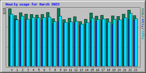 Hourly usage for March 2023