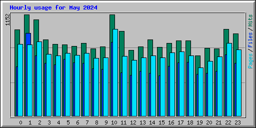 Hourly usage for May 2024