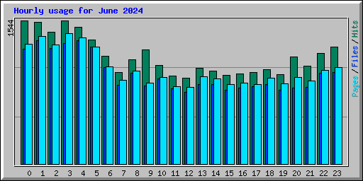 Hourly usage for June 2024