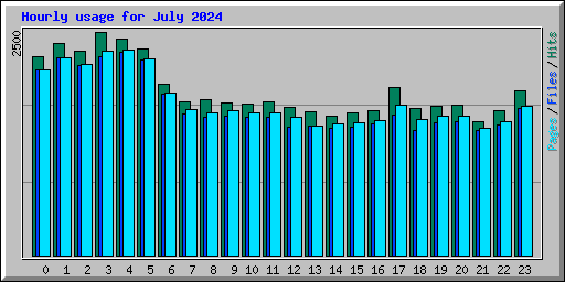 Hourly usage for July 2024