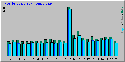Hourly usage for August 2024