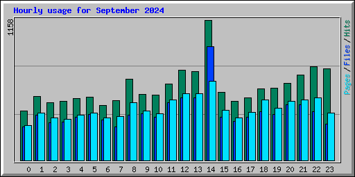 Hourly usage for September 2024