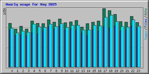 Hourly usage for May 2025