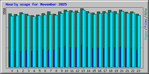Hourly usage for November 2025