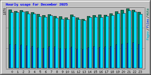 Hourly usage for December 2025