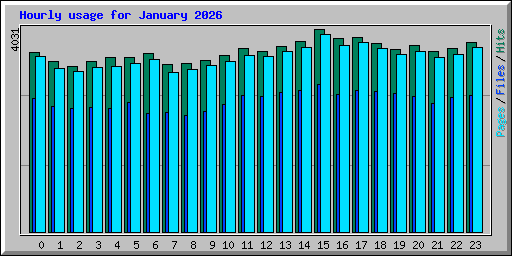 Hourly usage for January 2026