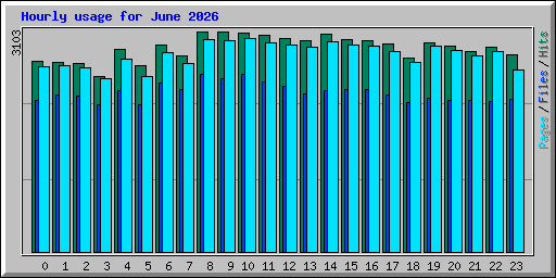 Hourly usage for June 2026