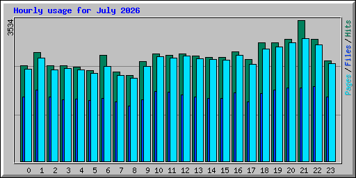 Hourly usage for July 2026