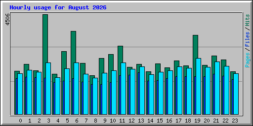 Hourly usage for August 2026